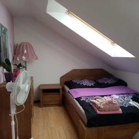Podkrovni Apartman Tereza Apartment Rumburk Exterior photo